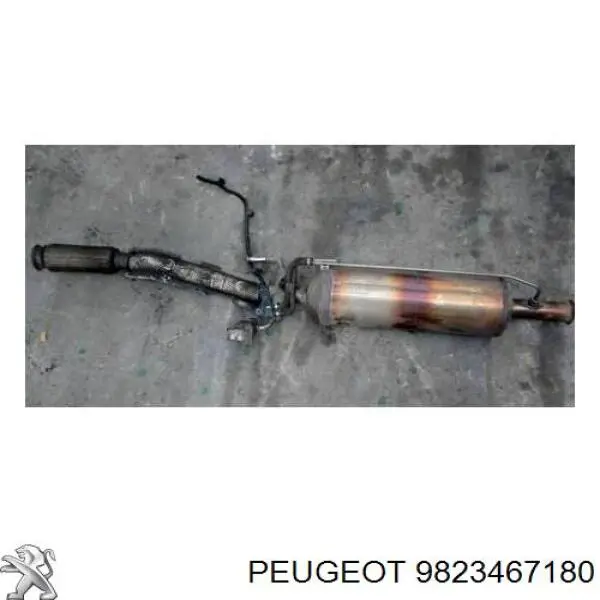 9823467180 Peugeot/Citroen catalizador