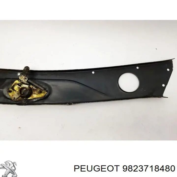 9823718480 Peugeot/Citroen Soporte de radiador completo (panel de montaje para foco)