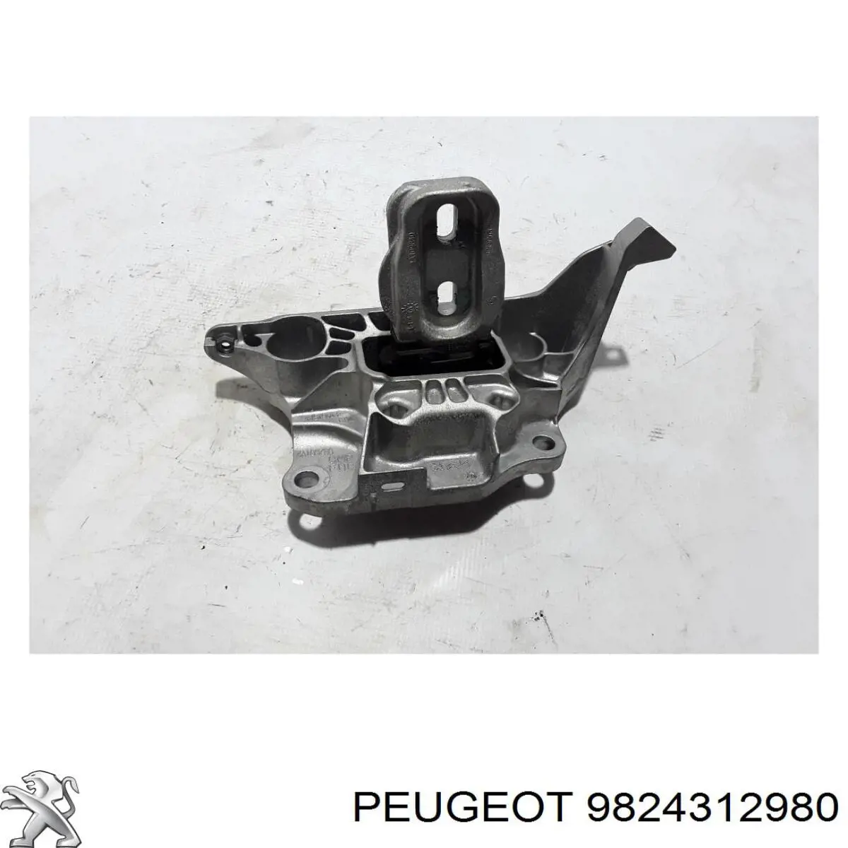 9824312980 Peugeot/Citroen