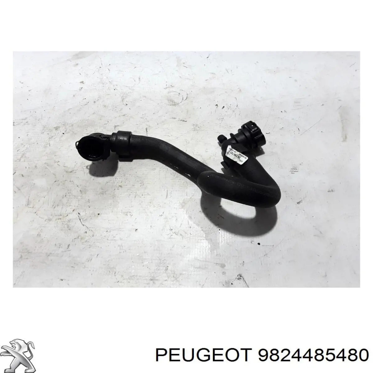 9824485480 Peugeot/Citroen