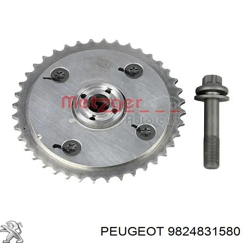 Comprar 9824831580 Peugeot/Citroen Tensor de cadena de distribución