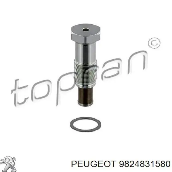 9824831580 Peugeot/Citroen tensor, cadena de distribución