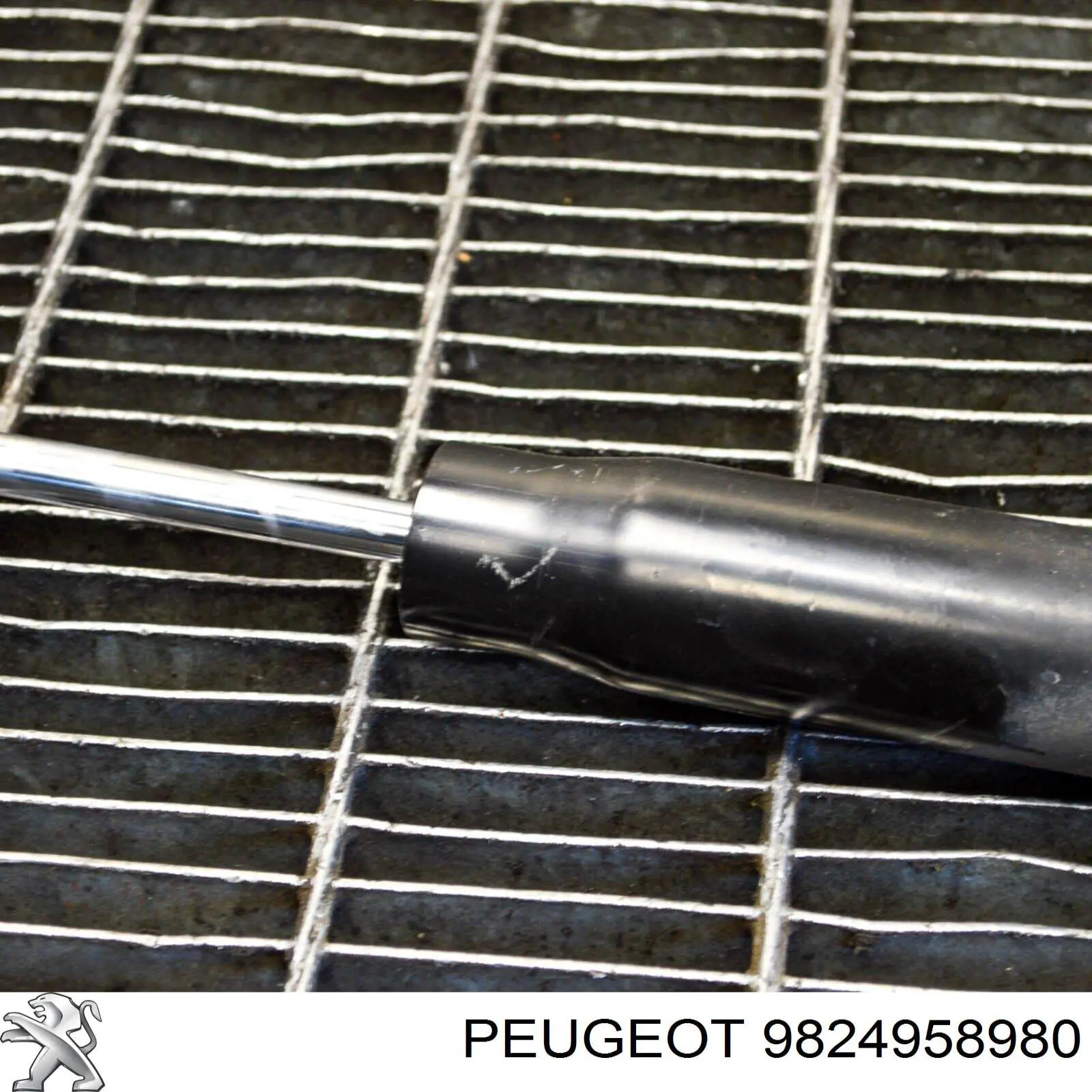 Amortiguador trasero 9824958980 Peugeot/Citroen