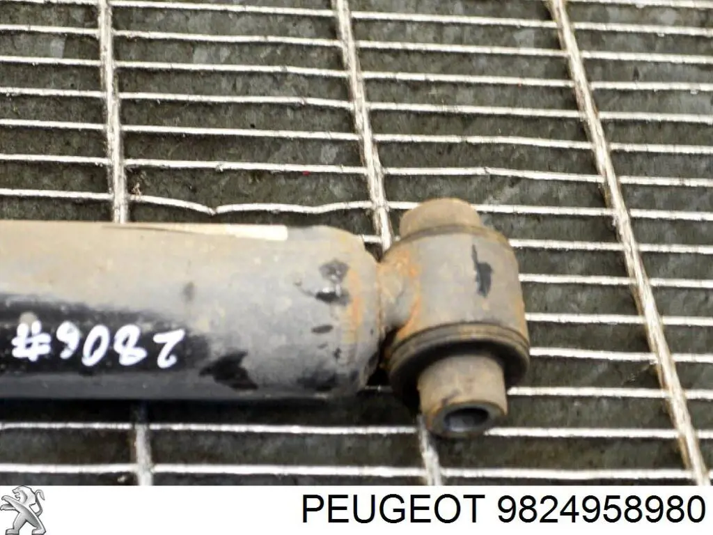 9824958980 Peugeot/Citroen Amortiguadores posteriores