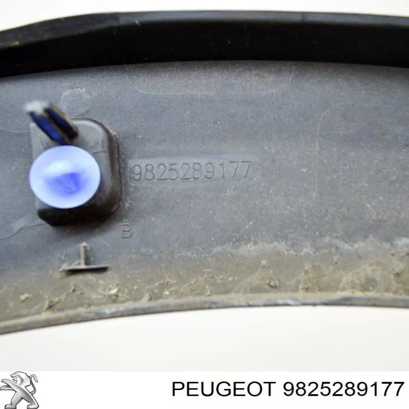 9825289177 Peugeot/Citroen 