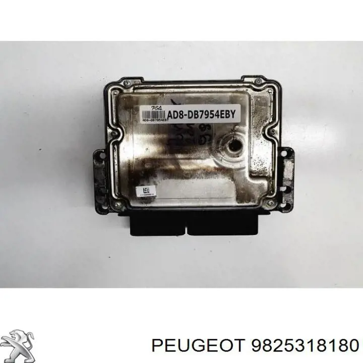 Comprar 9825318180 Peugeot/Citroen 
