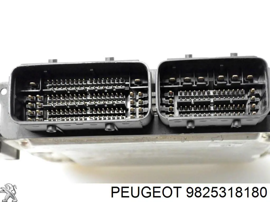 9825318180 Peugeot/Citroen 