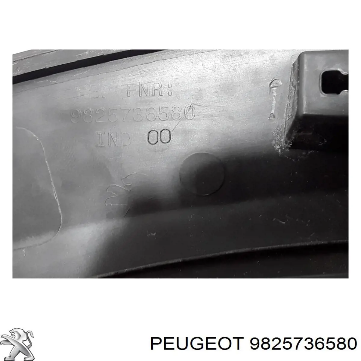 9825736580 Peugeot/Citroen