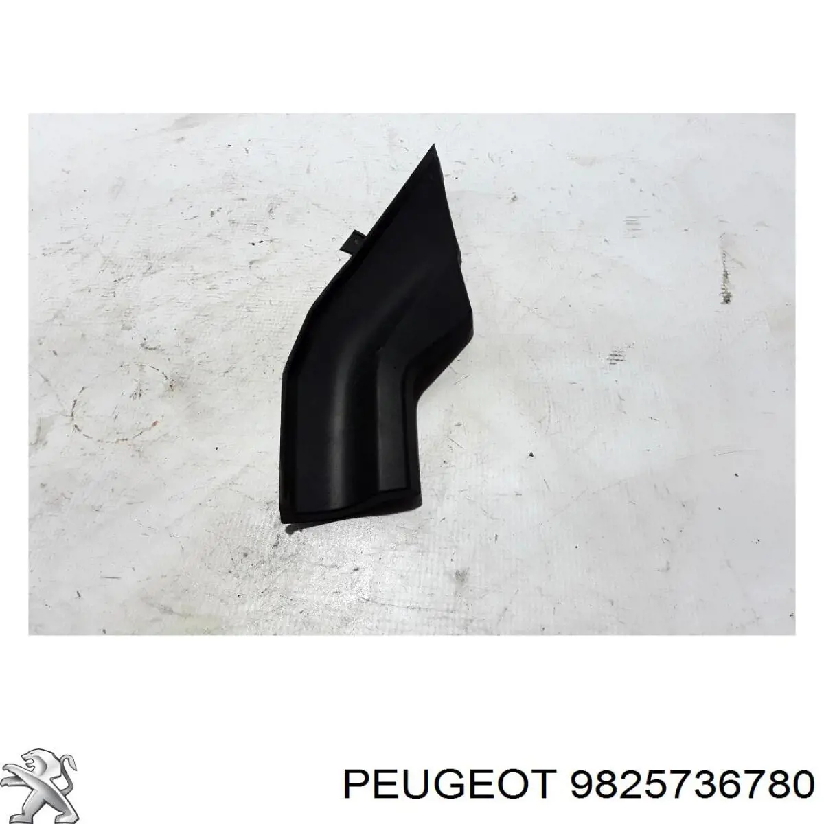  9825736780 Peugeot/Citroen