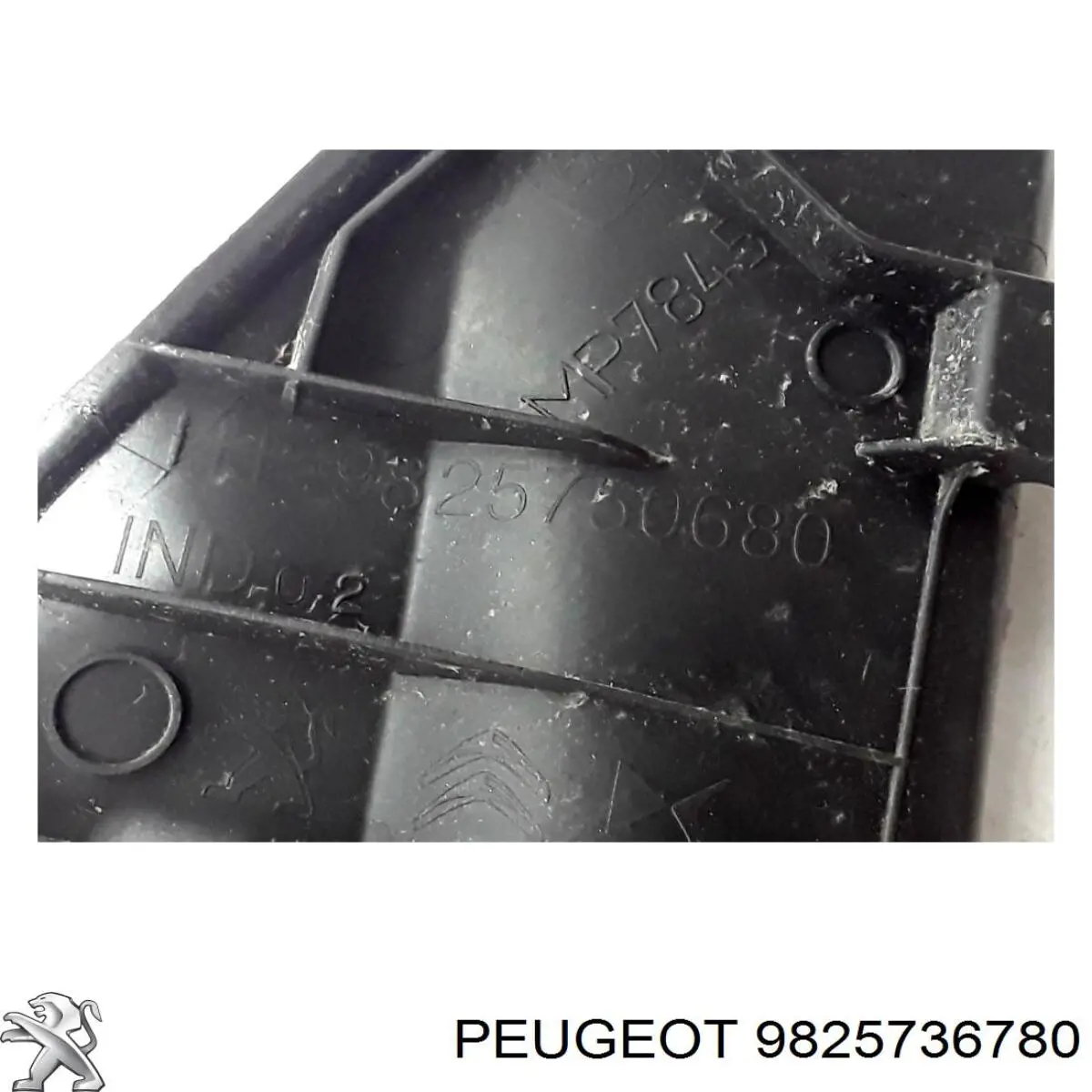 9825736780 Peugeot/Citroen 