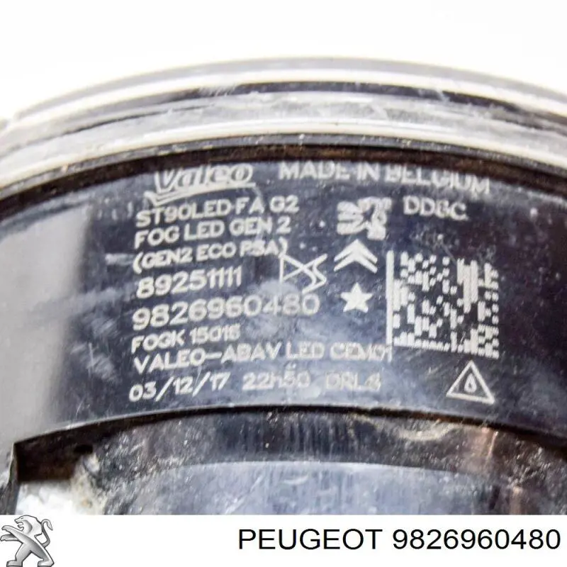 9826960480 Peugeot/Citroen Faro antiniebla