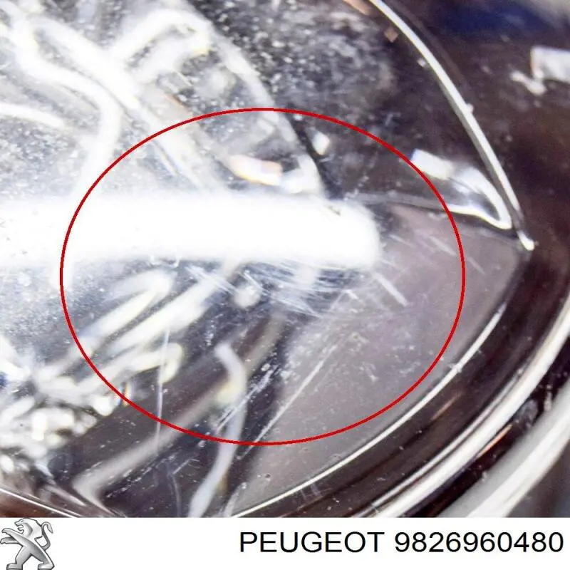 Luz antiniebla Peugeot/Citroen 9826960480 precio, desde 60,98 EUR