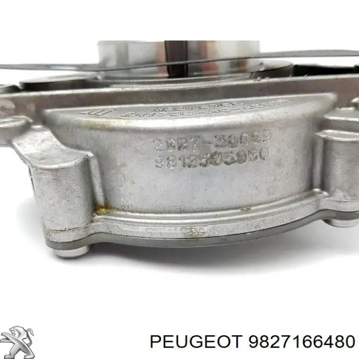 9827166480 Peugeot/Citroen