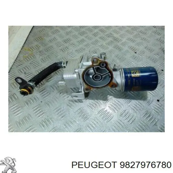 9827976780 Peugeot/Citroen 