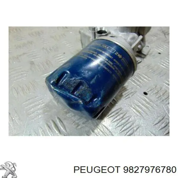 Comprar 9827976780 Peugeot/Citroen 