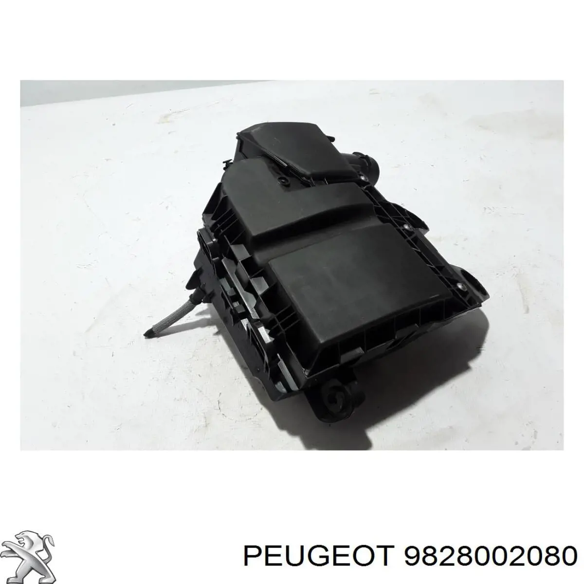 9828002080 Peugeot/Citroen caja del filtro de aire