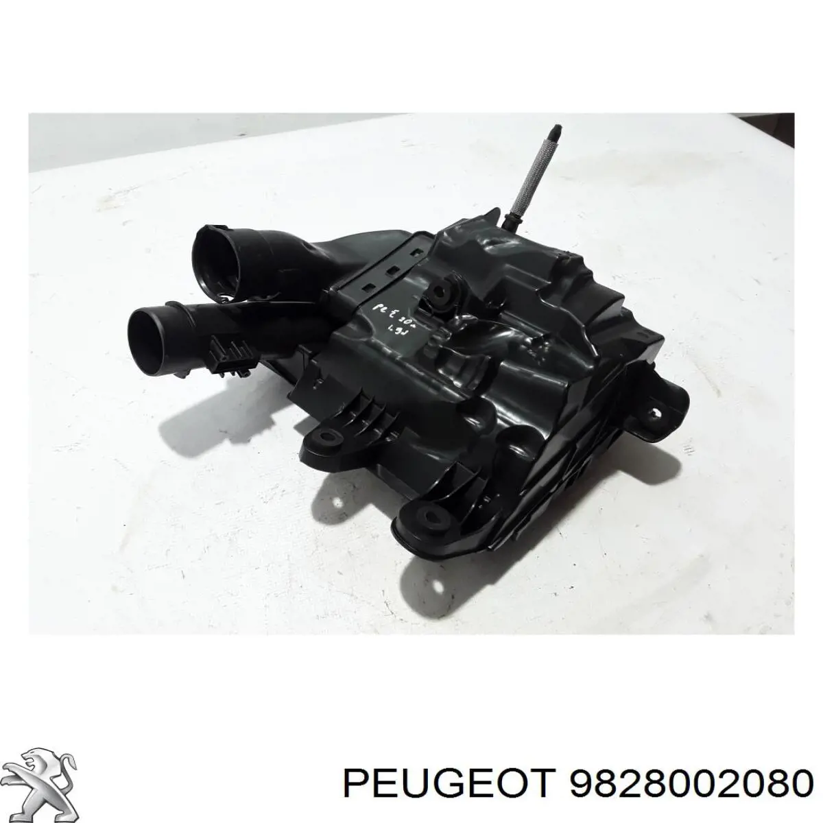 9828002080 Peugeot/Citroen Carcasa del filtro de aire