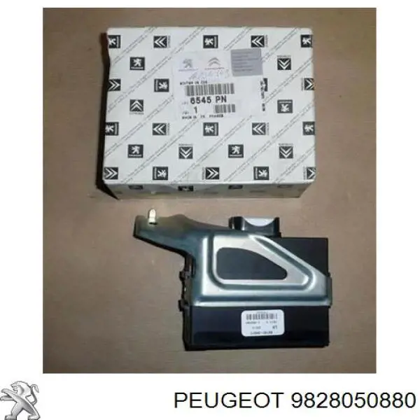 9828050880 Peugeot/Citroen