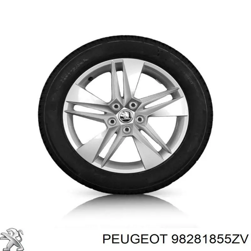 98281855ZV Peugeot/Citroen Aros