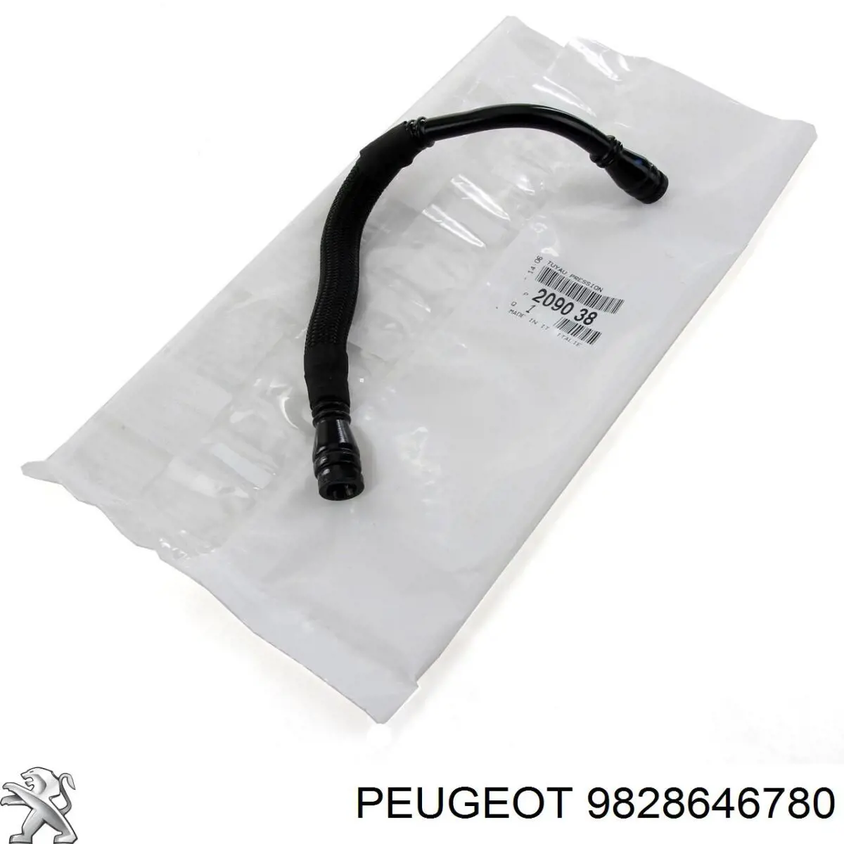 Tornillo (tuerca) de sujeción Fiat/Alfa/Lancia 7574958 precio, desde 1,51 EUR