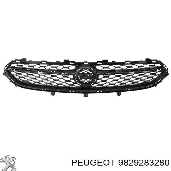 9829283280 Peugeot/Citroen