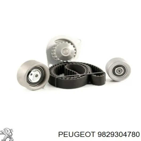 Correa distribución 9829304780 Peugeot/Citroen