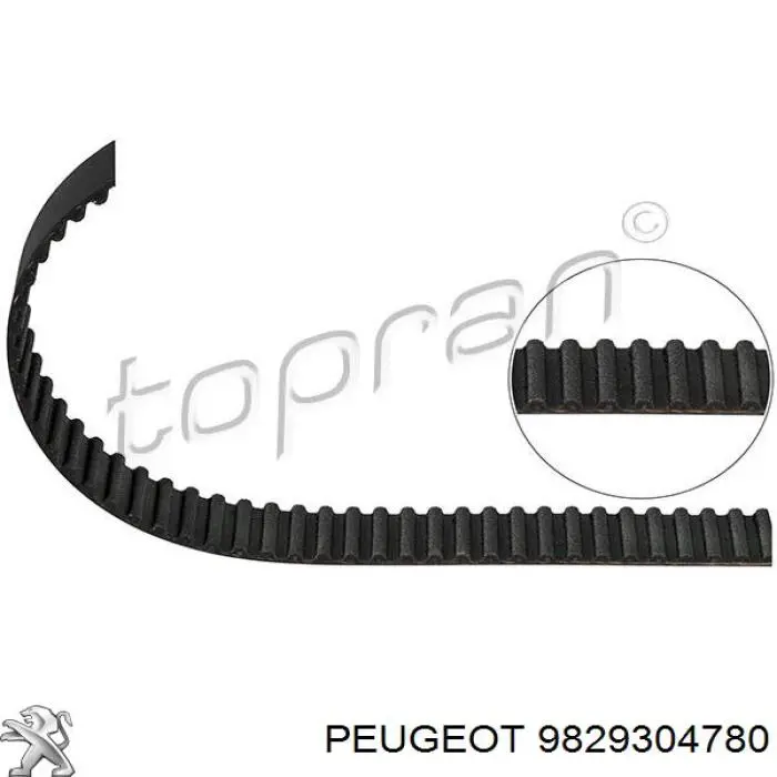 Comprar 9829304780 Peugeot/Citroen Correa distribución