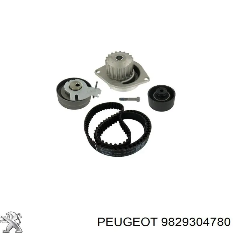 Correa de distribución Peugeot/Citroen 9829304780 precio, desde 23,84 EUR