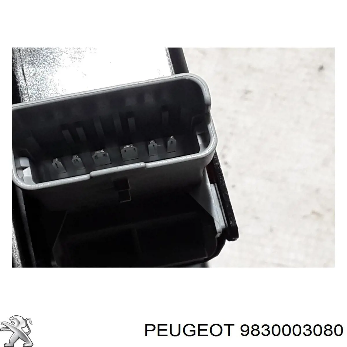 9830003080 Peugeot/Citroen Mecanismo de elevalunas de la puerta trasera izquierda