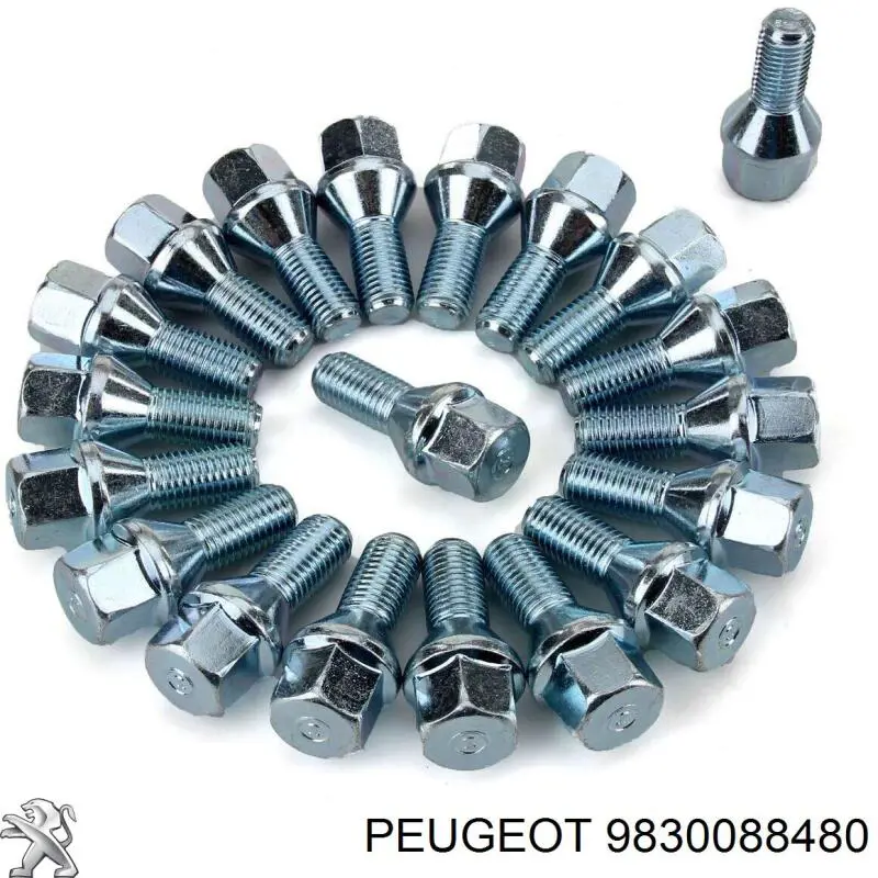 9830088480 Peugeot/Citroen 