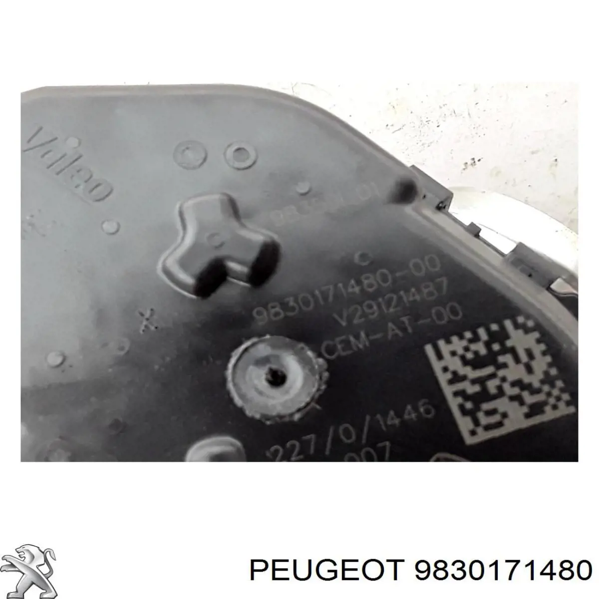 Cuerpo de mariposa Peugeot/Citroen 9830171480 precio, desde 103,20 USD