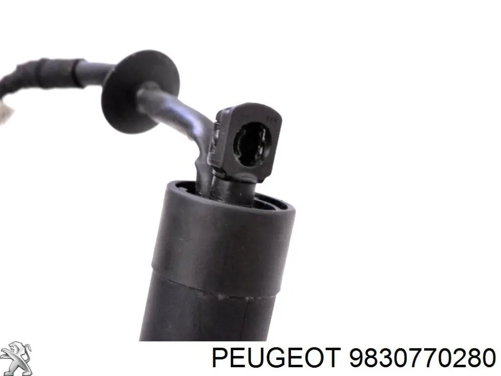 9830770280 Peugeot/Citroen Amortiguador de porton