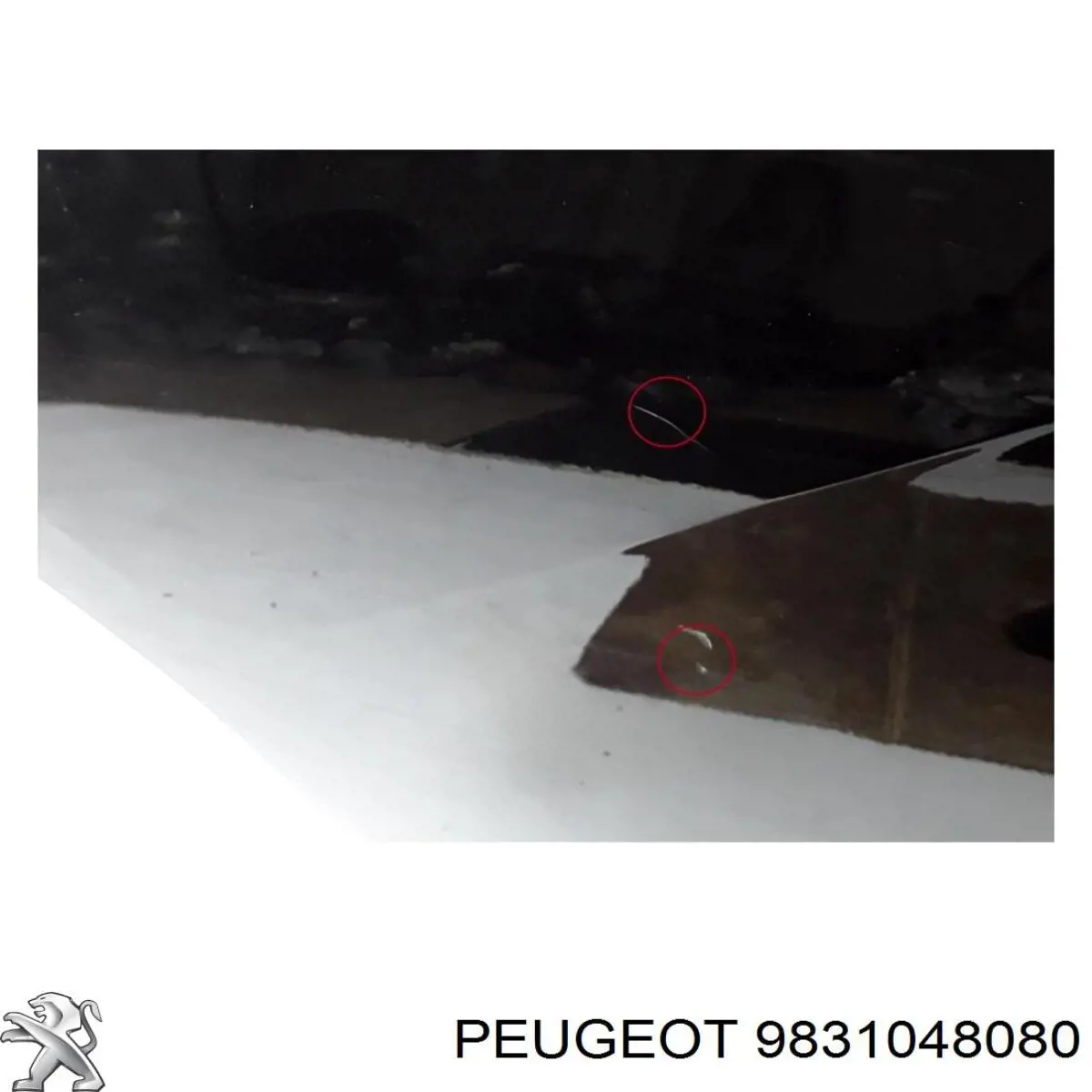 Comprar 9831048080 Peugeot/Citroen Puerta trasera derecha