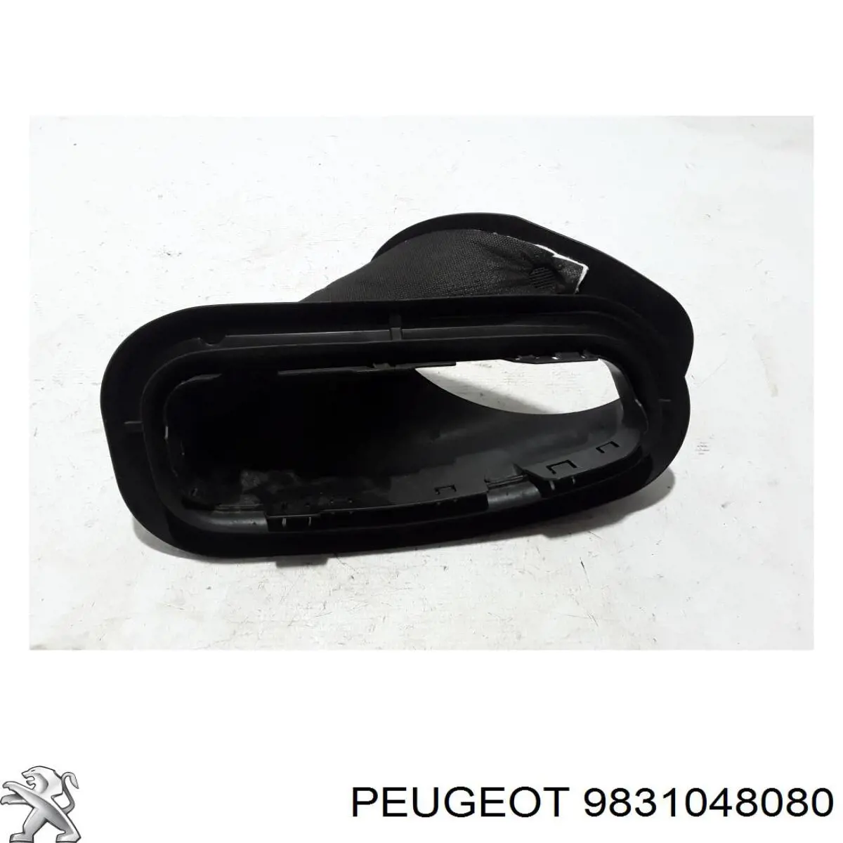 9831048080 Peugeot/Citroen Puerta trasera derecha
