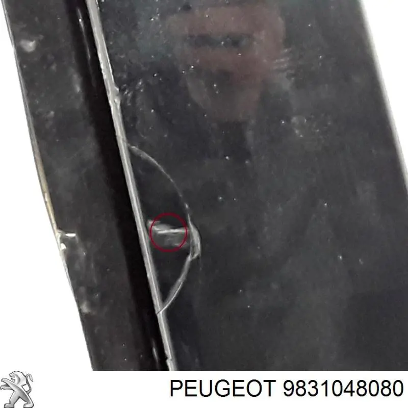 Puerta trasera derecha 9831048080 Peugeot/Citroen