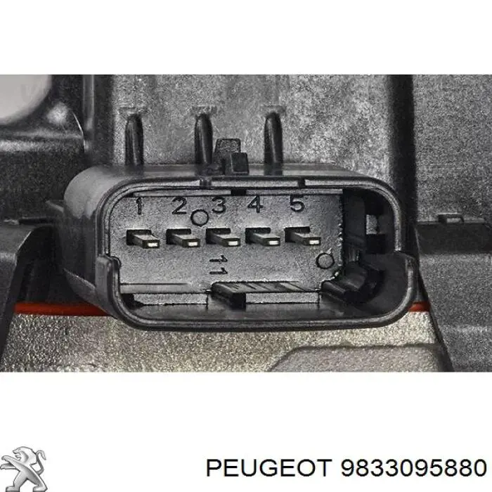9833095880 Peugeot/Citroen egr