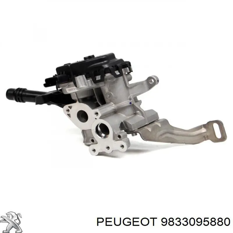 9833095880 Peugeot/Citroen Válvula EGR
