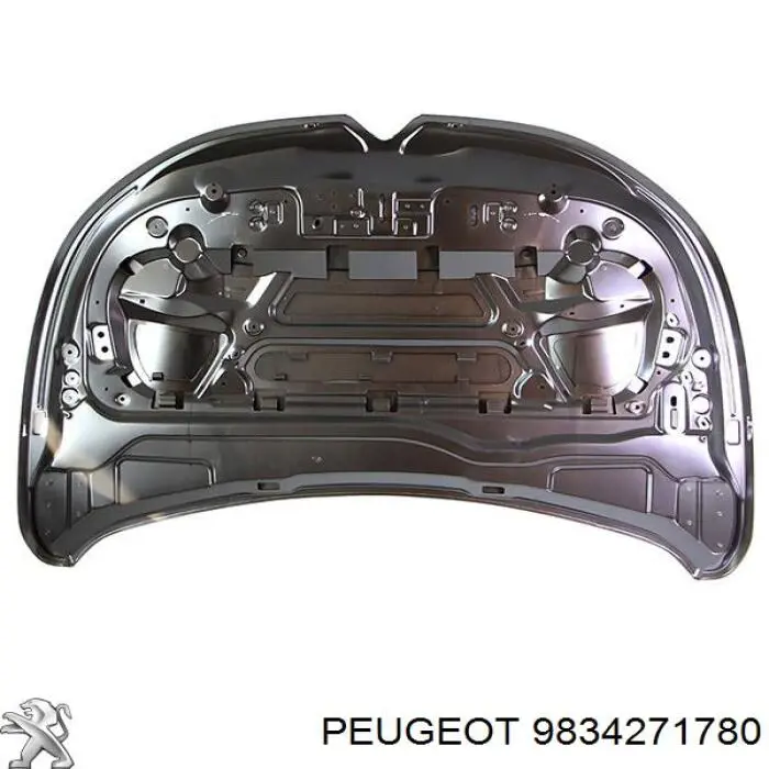 9834271780 Peugeot/Citroen Capó delantero