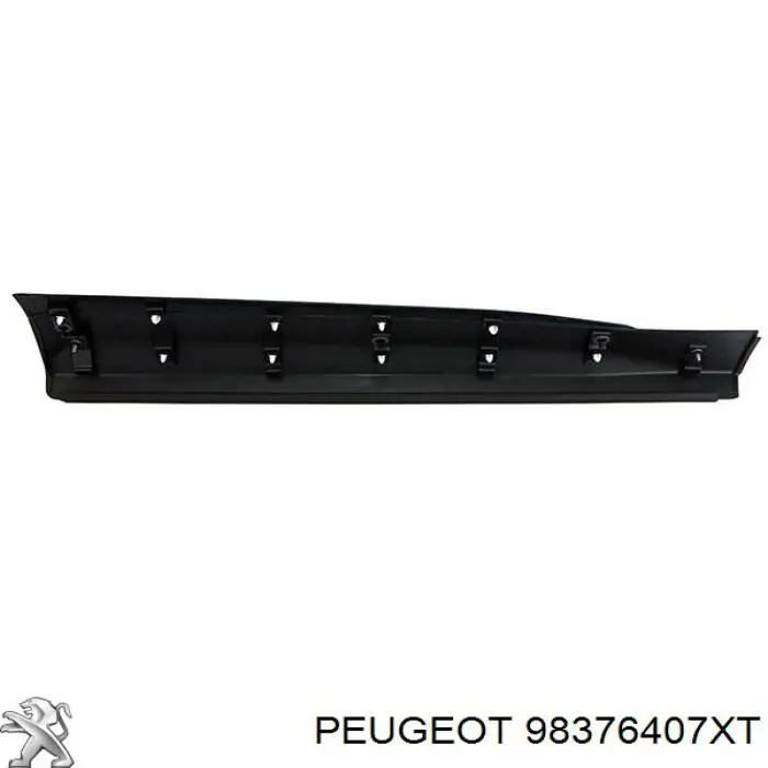 98376407XT Peugeot/Citroen Moldura de la puerta delantera izquierda