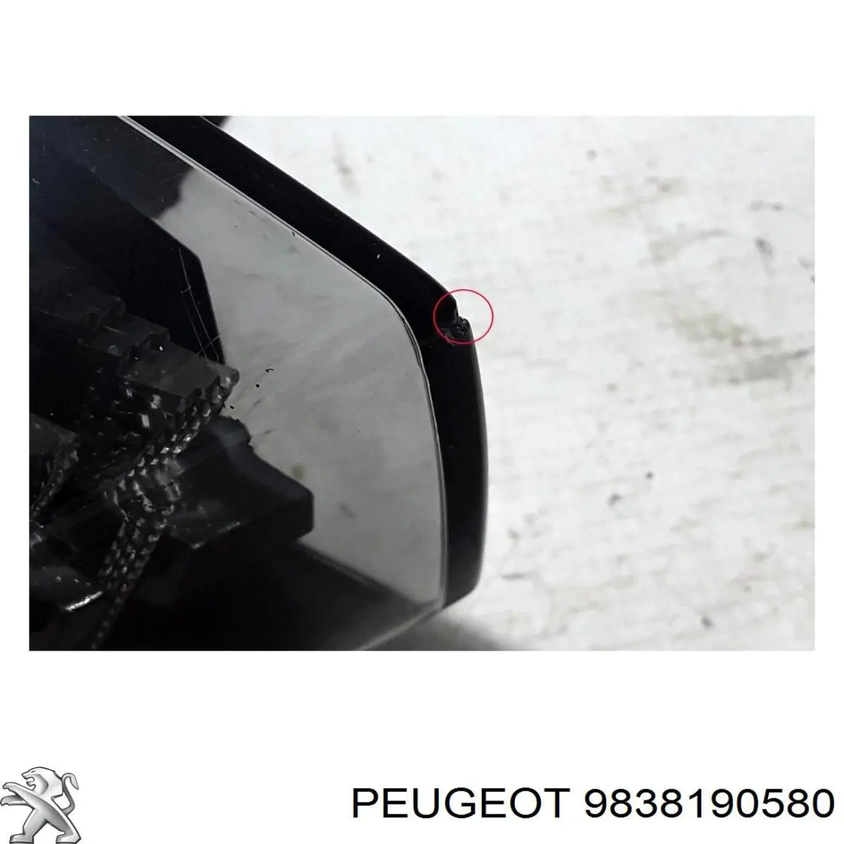 9838190580 Peugeot/Citroen