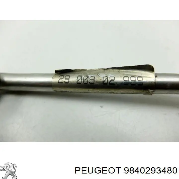  Peugeot/Citroen 9840293480 precio, desde 20,52 EUR