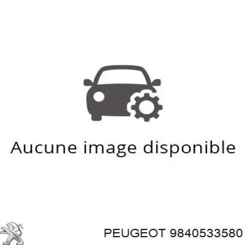9840533580 Peugeot/Citroen turbocompresor