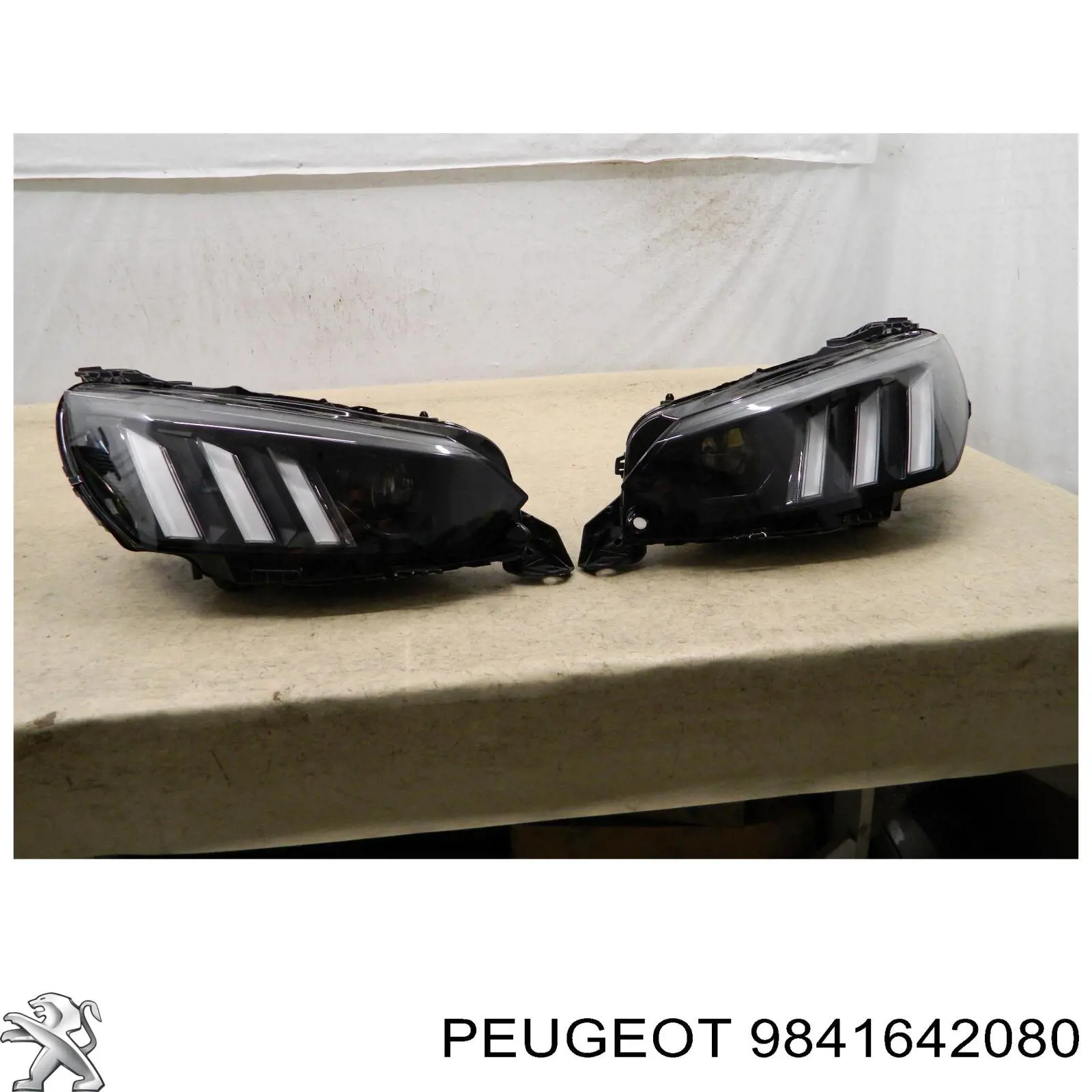 9841642080 Peugeot/Citroen Faros