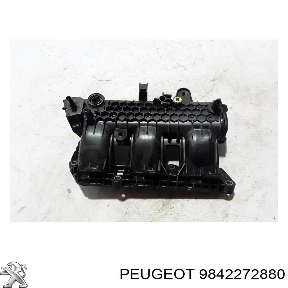 9802101480 Peugeot/Citroen Colectores de admisión