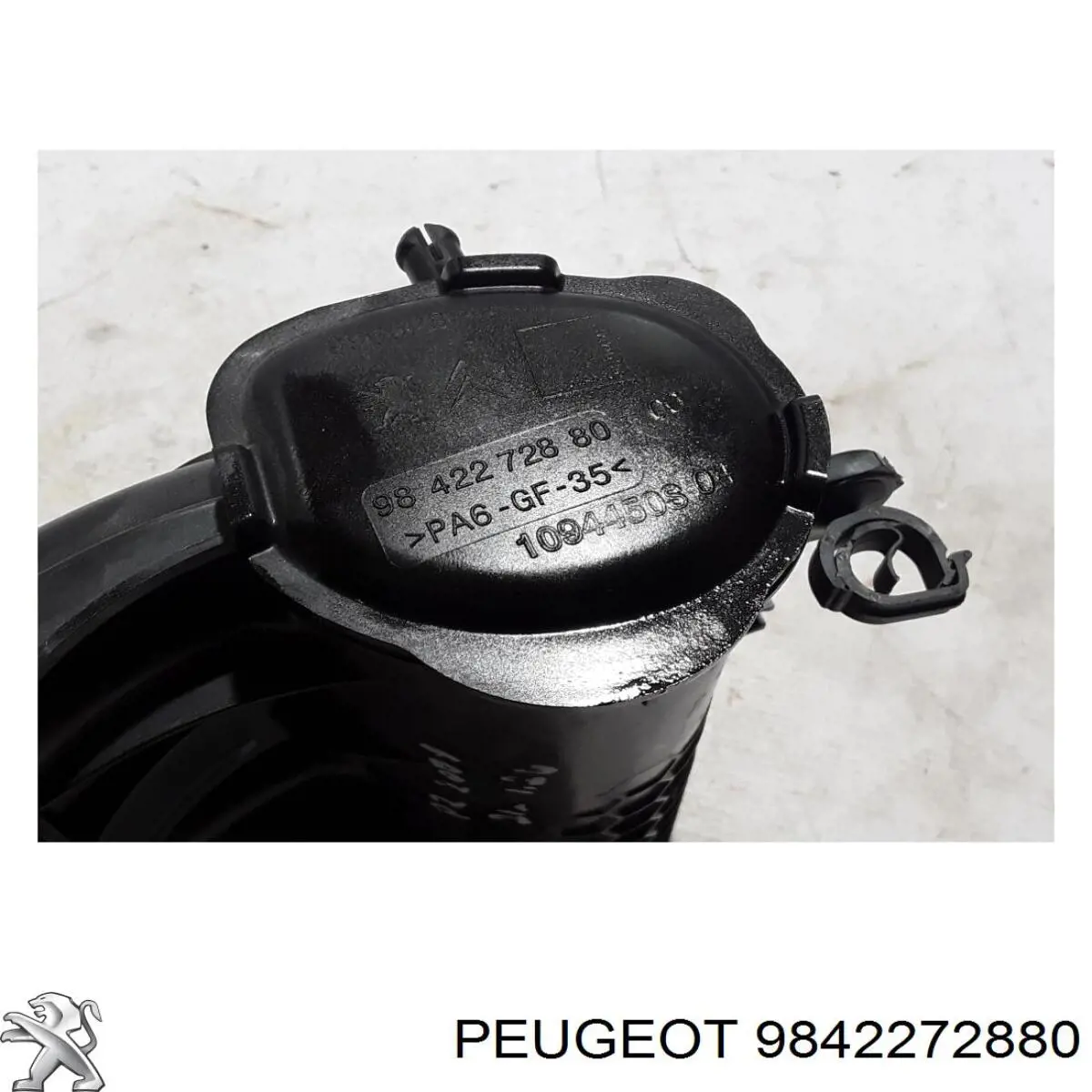 9842272880 Peugeot/Citroen Colectores de admisión