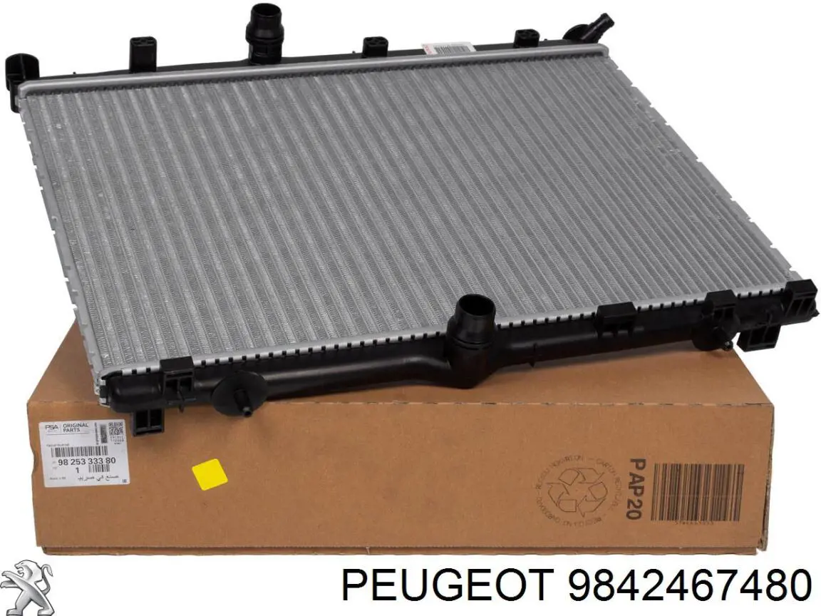 Comprar 9842467480 Peugeot/Citroen Válvula escape