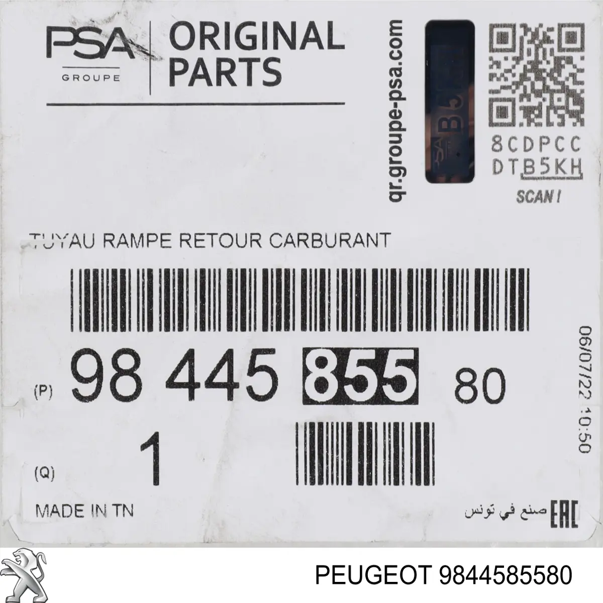 9674231880 Peugeot/Citroen tubo de combustible atras de las boquillas
