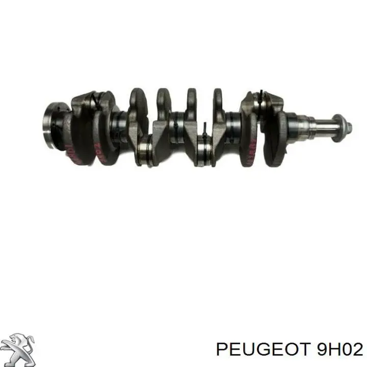 Bloque de cilindros del motor 9H02 Peugeot/Citroen