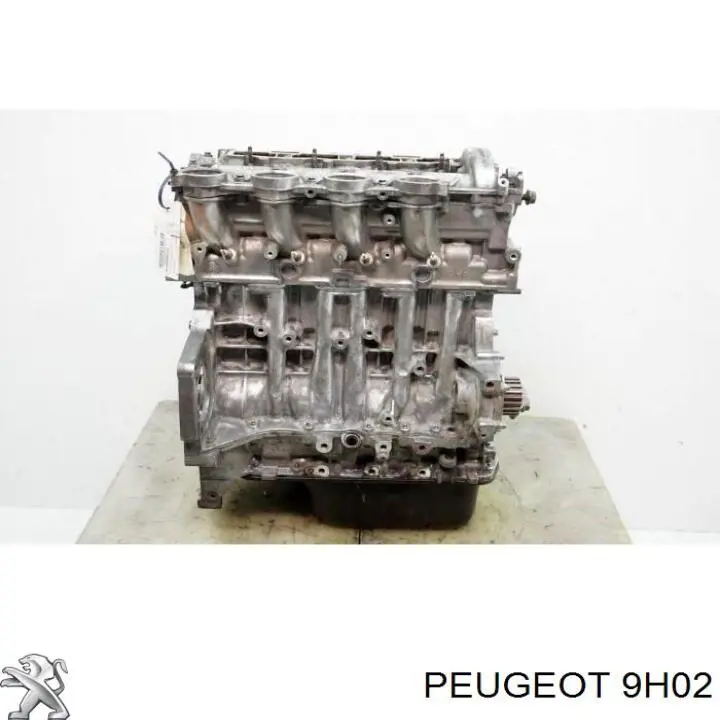 Bloque de cilindros del motor Peugeot/Citroen 9H02 precio, desde 1232,75 EUR