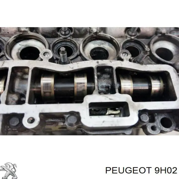 9H02 Peugeot/Citroen bloque motor